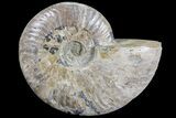 Silver Iridescent Ammonite - Madagascar #77109-1